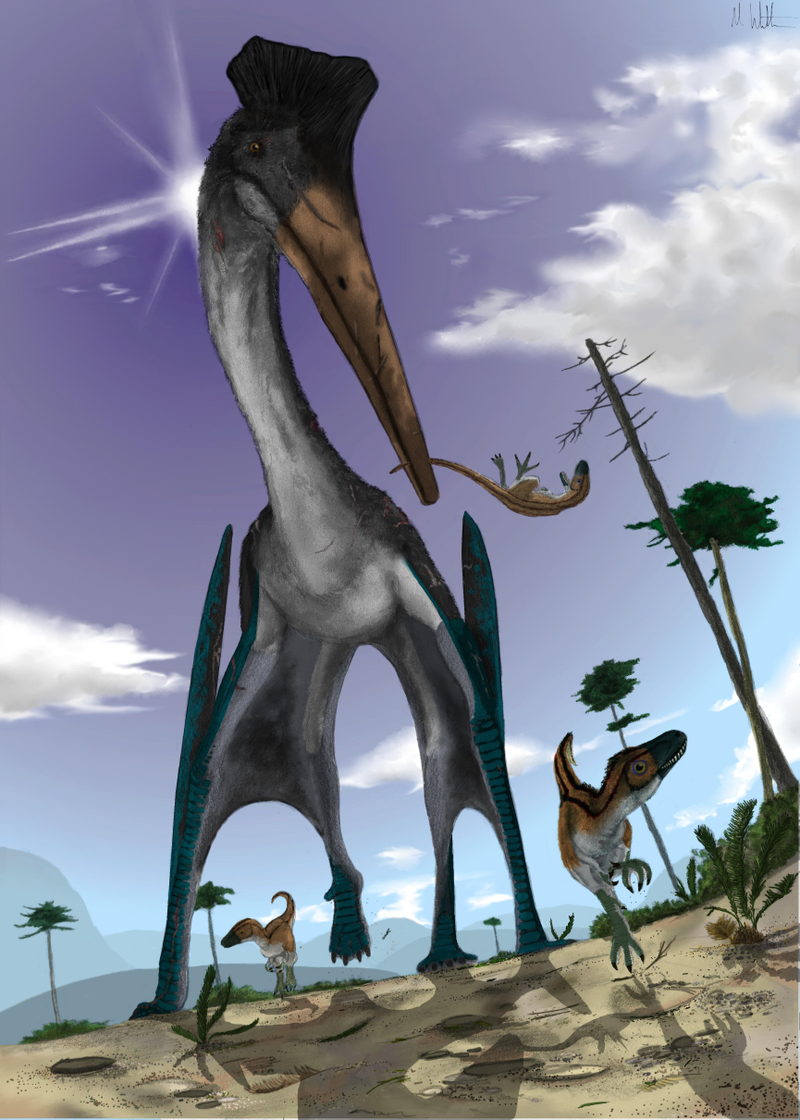 Illustration for article titled What would the world be like if pterosaurs and humans coexisted today? (Part II)